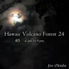 Joe Okuda - Hawaii Volcano Forest 24 #5 -06pm to 09pm- ('Normalize Volume' flag OFF Recommended)
